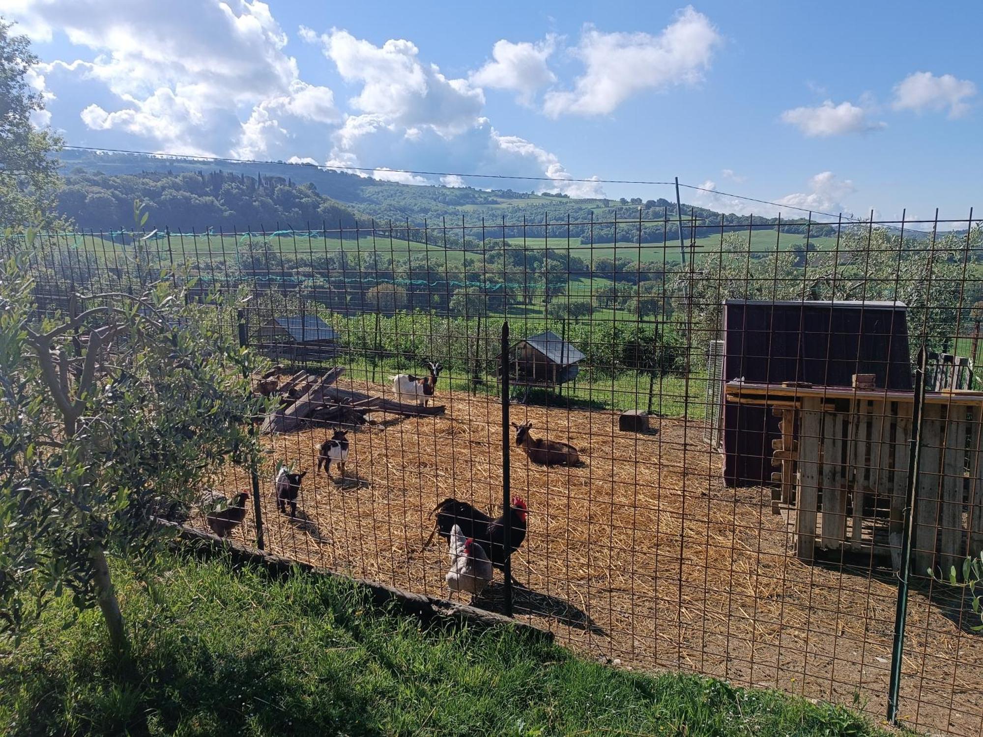 Vila La Piccola Fattoria Todi Exteriér fotografie