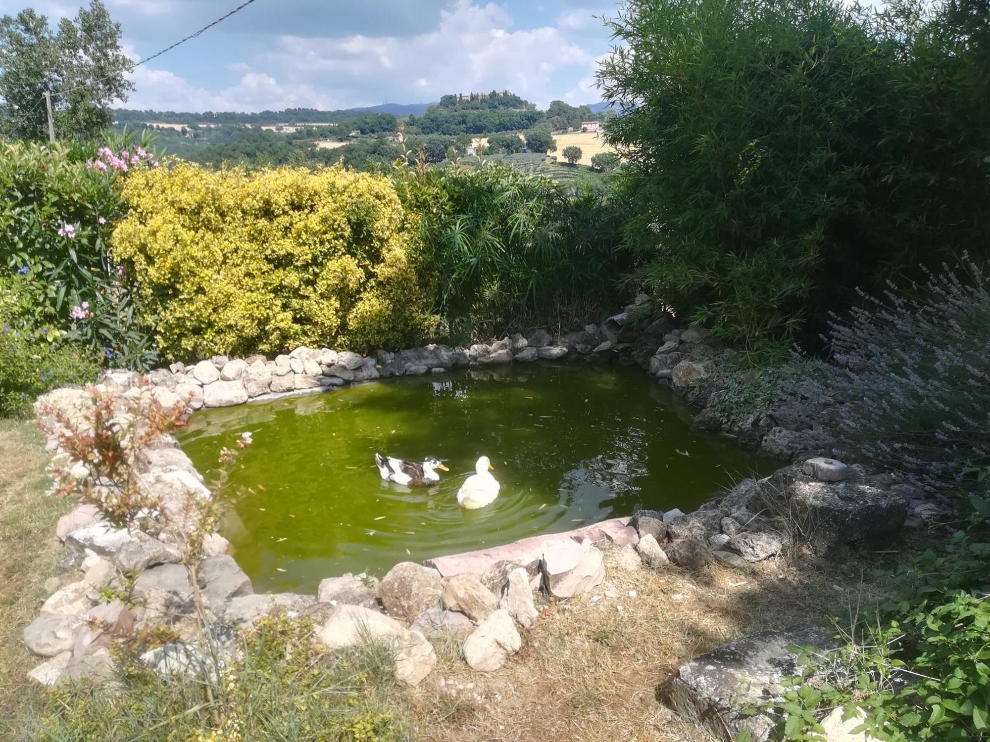 Vila La Piccola Fattoria Todi Exteriér fotografie