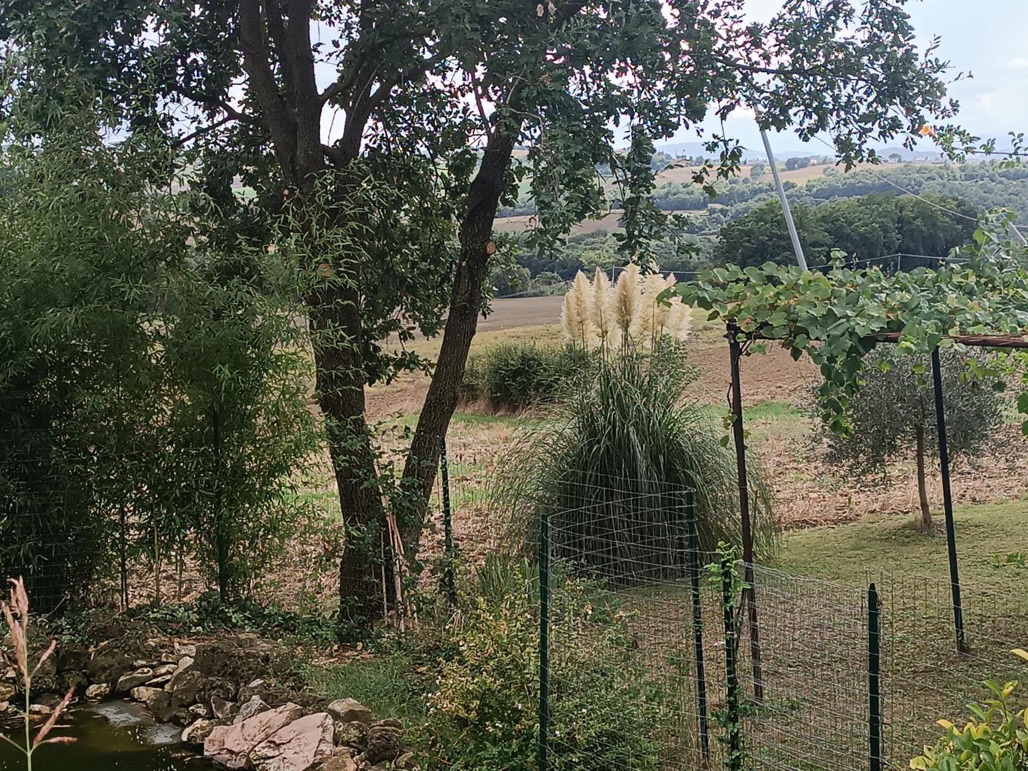 Vila La Piccola Fattoria Todi Exteriér fotografie