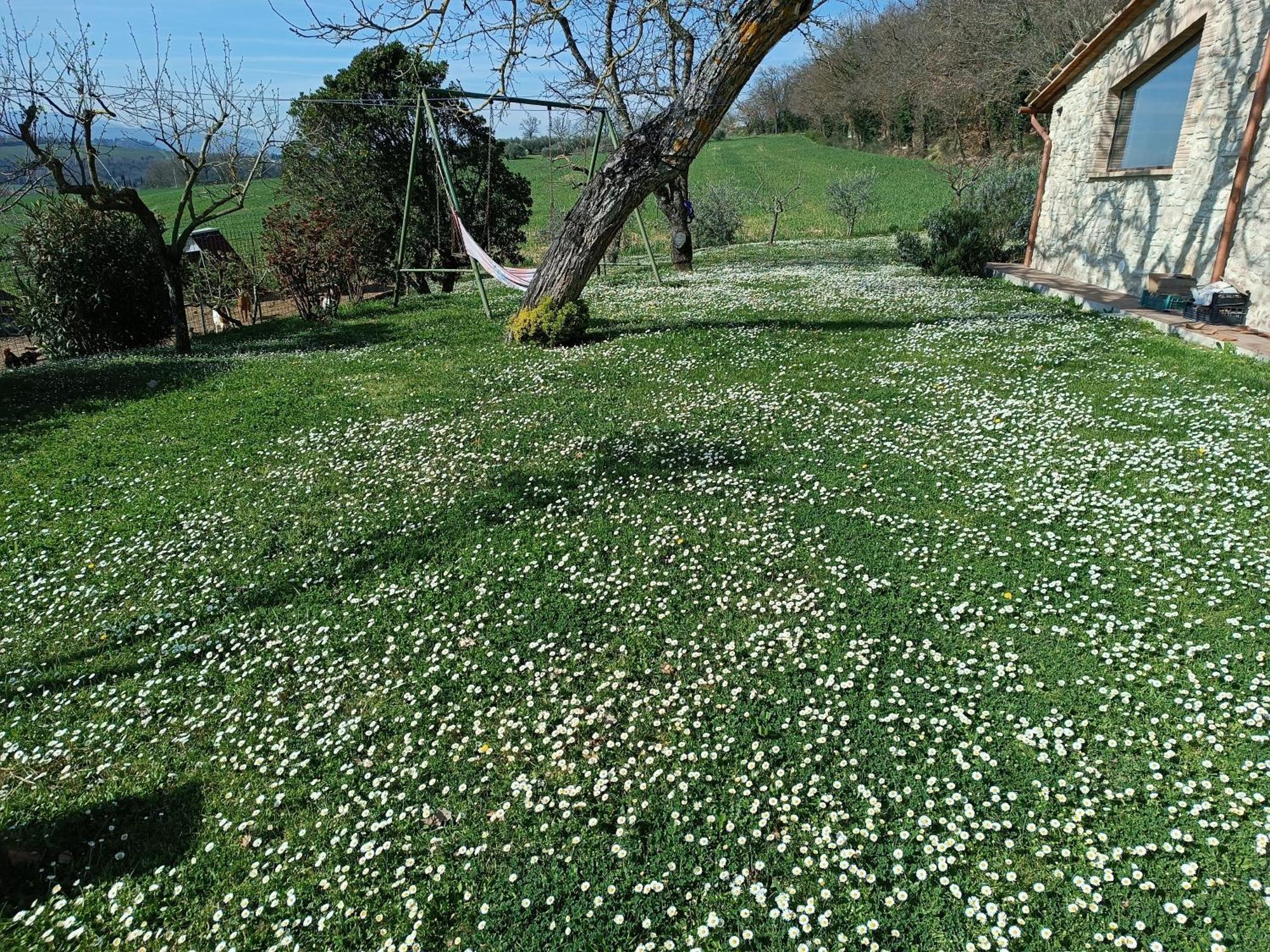 Vila La Piccola Fattoria Todi Exteriér fotografie